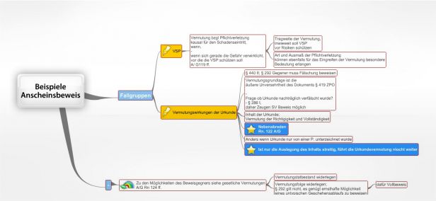 Schema Beispiele  Anscheinsbeweis