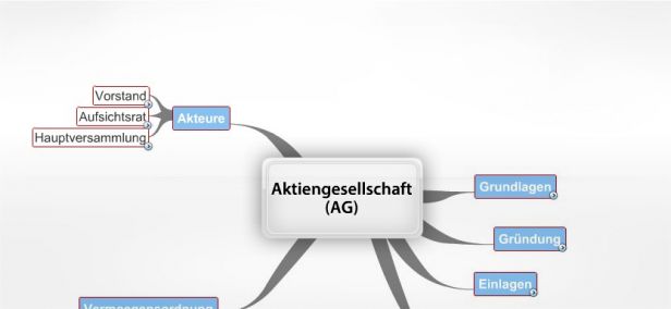 Schema Aktiengesellschaft