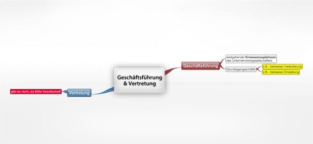 Schema Geschäftsführung  & Vertretung