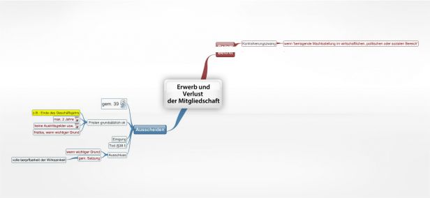 Schema Erwerb und Verlust   der Mitgliedschaft