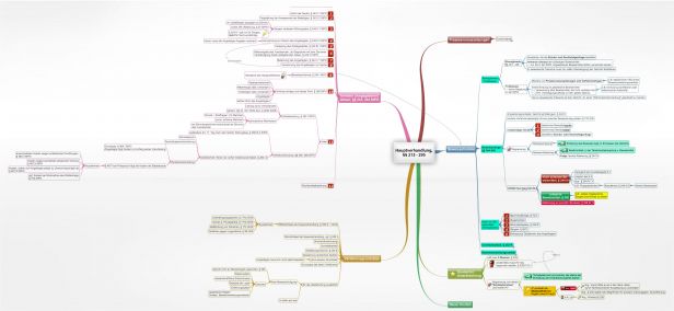 Schema Hauptverhandlung, §§ 213 295 StPO