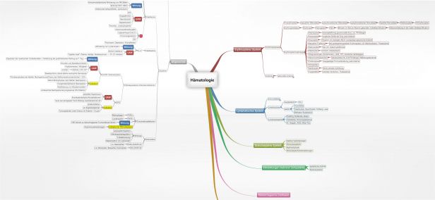 Schema Hämatologie