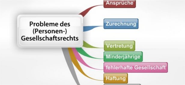 Schema Probleme des Gesellschaftsrechts